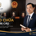 Luật sư bào chữa cho bị cáo